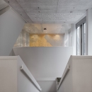 Stairecase with single glass panels at Leiden University College The Hague