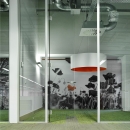 Single glass office wall with tampered glass door