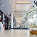 Laboratory rooms with single glass partition wall 