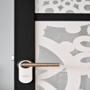 Aluminum framed door KDEC with flat bar