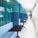 Blue colored singel glass partitions walls
