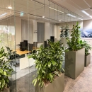 Qollect office project