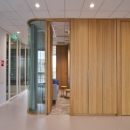 iQ WOOD Structural