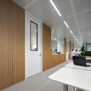 Multiple different classified partitions in one wall at Plus Ultra Leiden