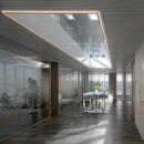 Corridor / office dividing partitions wall made with vector striping