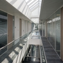 Glass office walls on the first floor