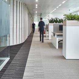 Glass partitions at Canon Production Printing Venlo.