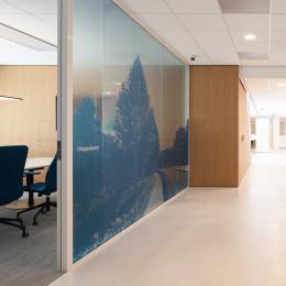 Glass partition wall with colored film at rabobank Amersfoort