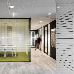 Single and double glass office walls with vector patern