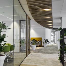 Single glass partitions wall combined with wood door frames