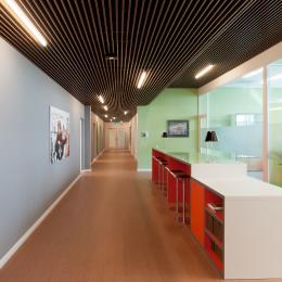 High acoustic glass partitions walls