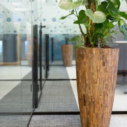 The office - corridor dividing partition