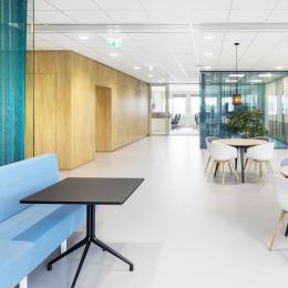 Blue colored singel glass partitions walls