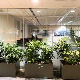 Qollect office project