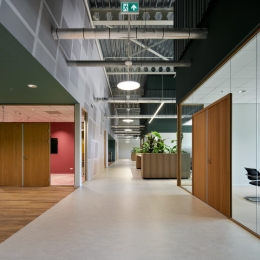 iQ WOOD Single at Natec Den Bosch