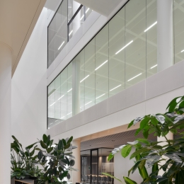 Fall-through-proof glass wall at Plus Ultra Leiden