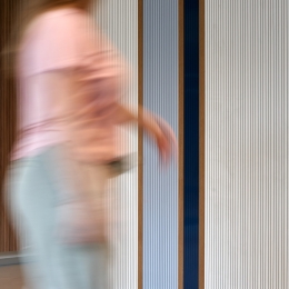 Acoustic panels at Maria Montessori University Radboud in Nijmegen