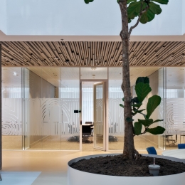 Glass partitions with KDD90F aluminum framed door