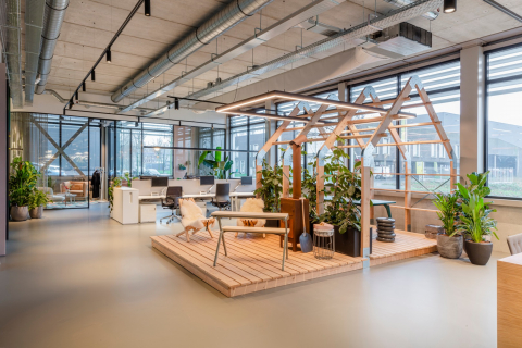 Working space within the background a meeting room with oval glass