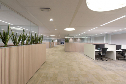 Glass office units with wood paneling ant planters