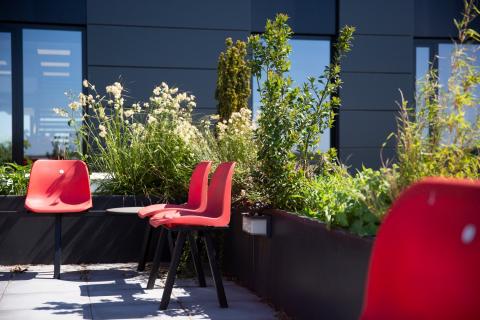 Relax garden at DPD Oirschot