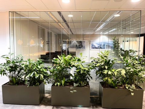 Qollect office project
