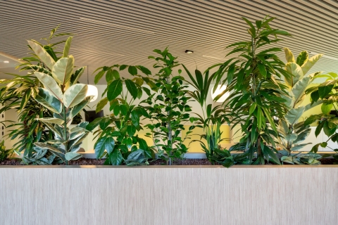 ASG Almere