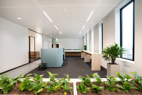 Creative workspace at ASML De Run 1000 Veldhoven