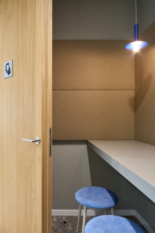 iQ WOOD Structural massive door