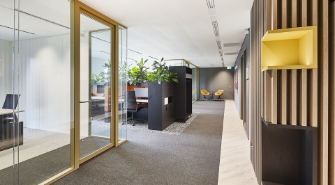 High-quality glass partitions for offices