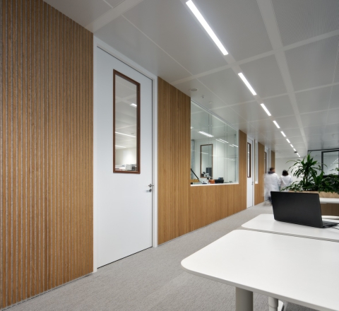 Multiple different classified partitions in one wall at Plus Ultra Leiden