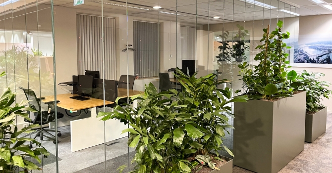 Qollect office project